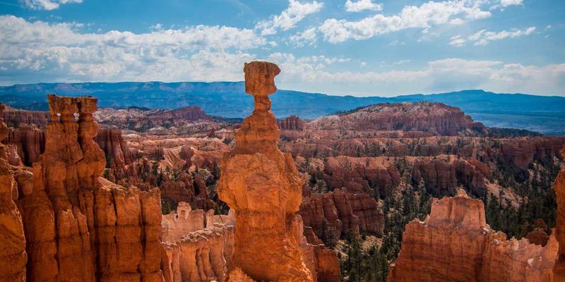 专业网球拍线材性能解析：聚酯、天然肠线与仿肠线的区别与选择指南