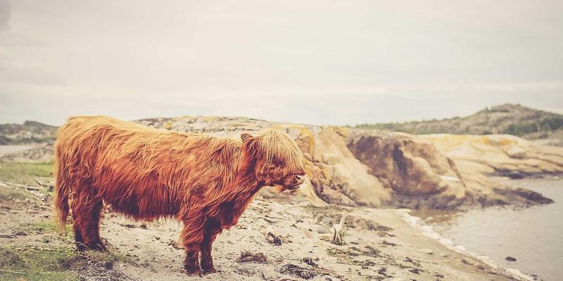 专业骑行服功能面料全解析：透气、排汗与风阻系数如何影响长途骑行表现