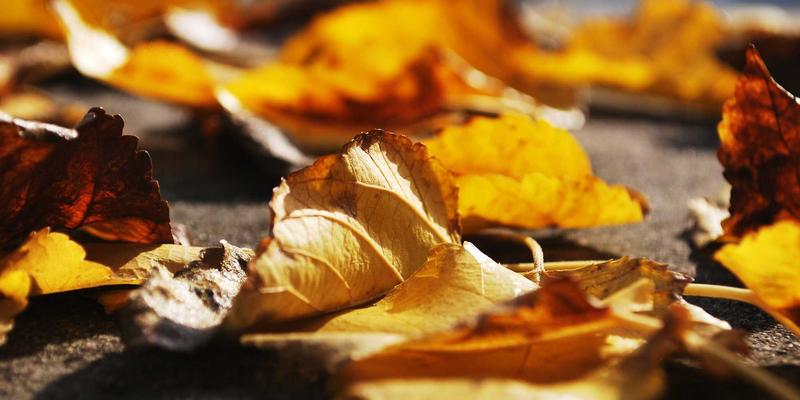 从球场到力量区：羽毛球与篮球爱好者如何安全驾驭哑铃、杠铃与壶铃