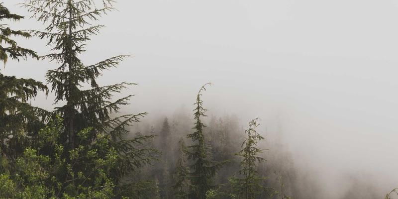 从网球到运动服饰：体育用品进阶指南，打造专业运动体验