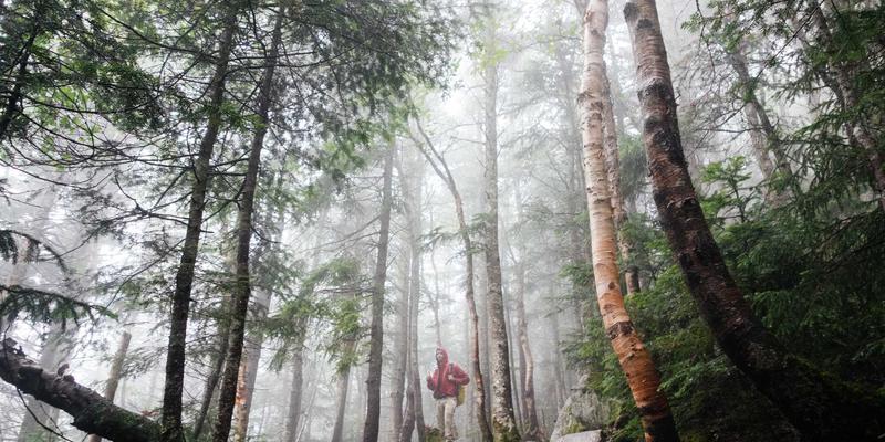从羽毛球到溪流：跨界运动装备哲学与钓鱼入门全攻略