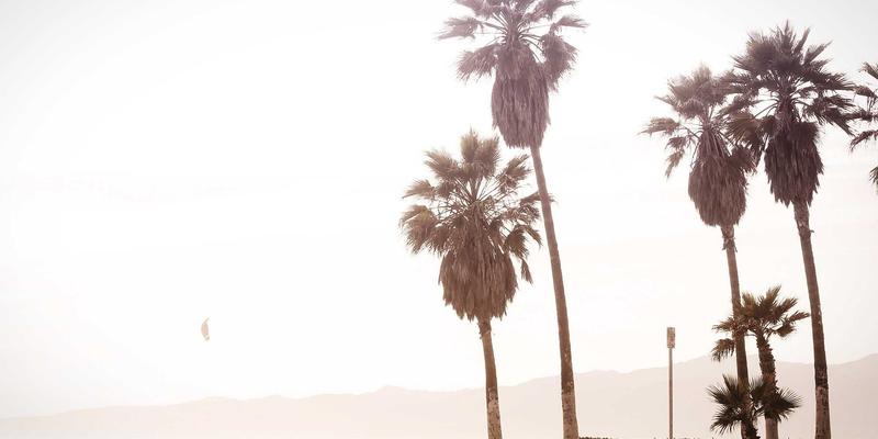 体育用品99：从羽毛球到户外装备，开启全民运动新篇章