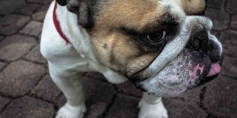 体育用品新趋势：户外装备、运动服饰与足球装备的融合创新