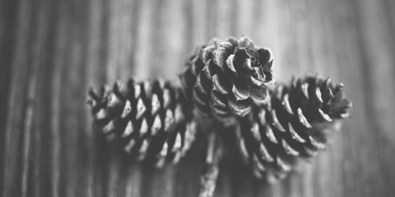 体育用品进化论：从专业跑步到户外探险，装备如何重塑运动体验