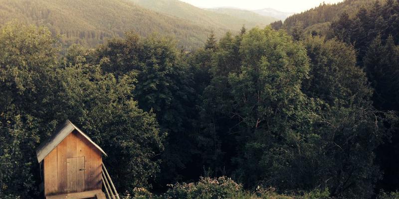 家庭健身角打造全攻略：从运动装备选购到网球篮球收纳的空间规划