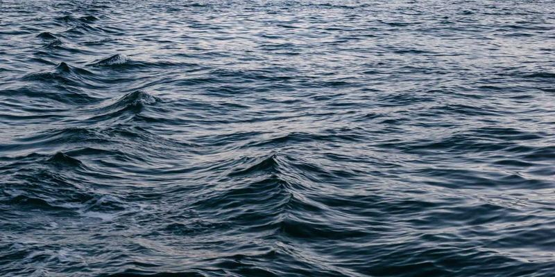 户外装备深度解析：碳纤维与铝合金登山杖，在减震与耐用性上如何抉择？