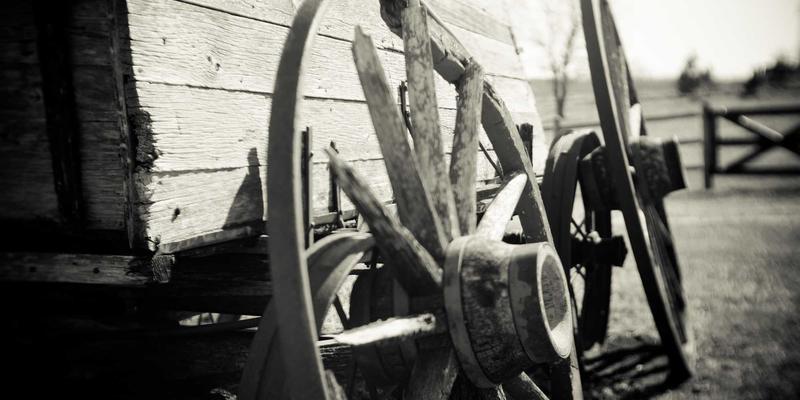 游泳划水掌科学使用指南：提升水感与力量，规避运动风险