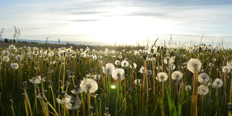 网球与羽毛球：如何科学选择运动装备提升表现与安全