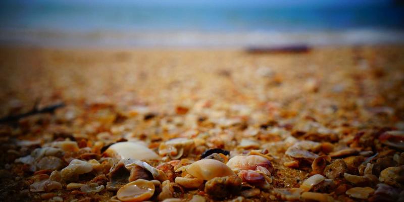 网球与跑步装备全解析：科学选择运动装备，提升运动表现与安全