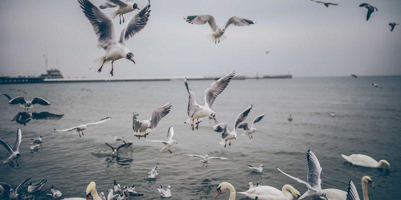 网球拍线床密度解析：16×19与18×20对旋转与控球的力学影响