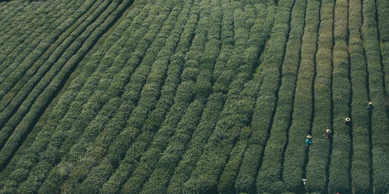 羽毛球与运动服饰：体育用品市场中的活力双引擎