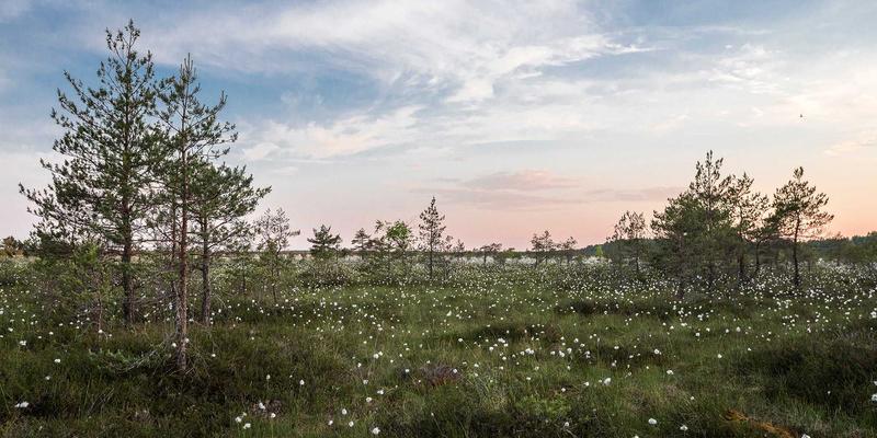 羽毛球拍中杆硬度与平衡点如何影响杀球力度与控球精度？网球与运动服饰选购的启示