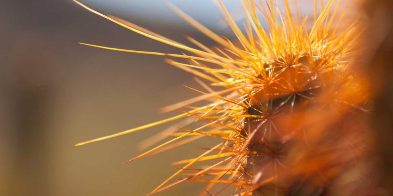 羽毛球运动全攻略：从专业装备到时尚服饰的精选推荐