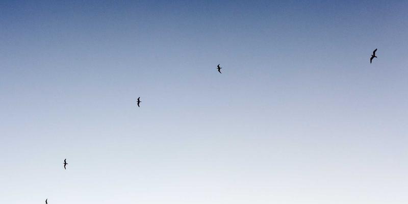 足球、羽毛球、篮球：三大主流体育用品的科学选择与运动魅力