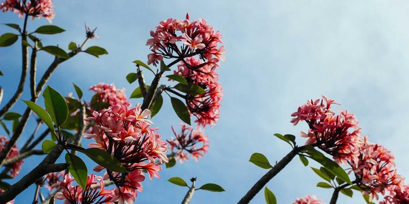 运动服饰与羽毛球装备选购指南：专业体育用品的智慧之选