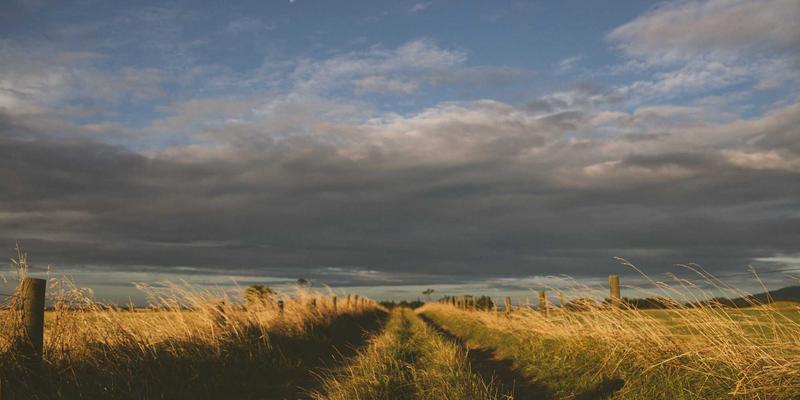 运动装备选购指南：羽毛球与网球装备的智慧选择