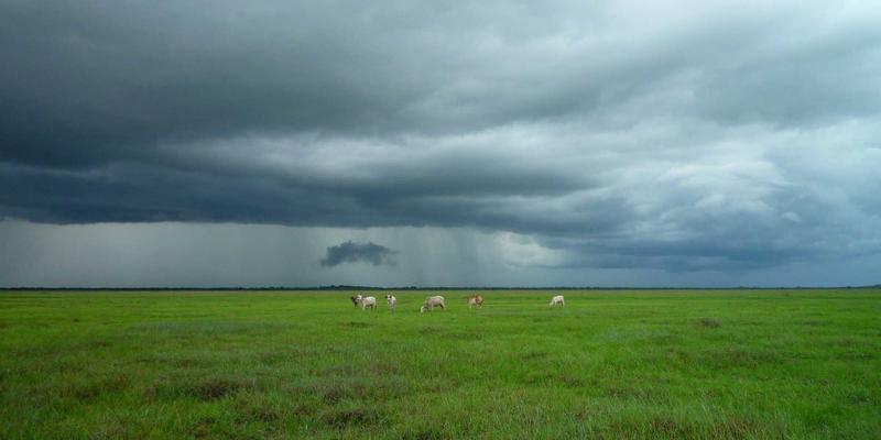 高尔夫球杆量身定制指南：从杆身硬度到杆头角度的科学匹配